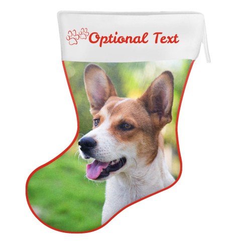 (25cm) Paws & Bones Theme Red Soft Velvet Polyester Fabric (Optional Personalised Gift Text)