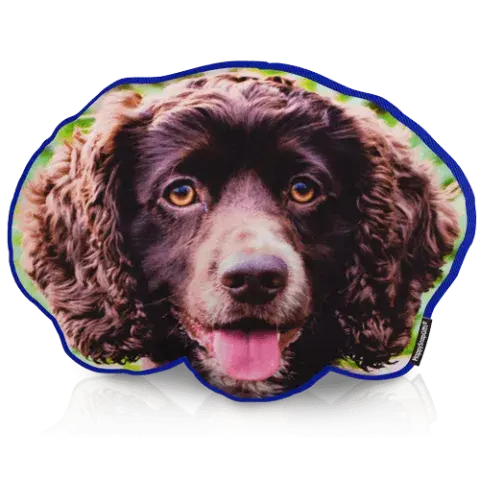 Dog Face Cushion