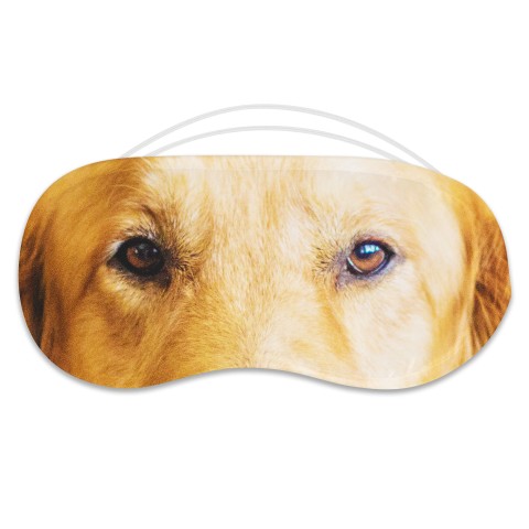 with Labrador Dog Design Polyester (Optional Personalised Gift Text)