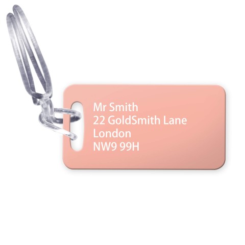 (9cm x 4.5cm) - Baby Pink with Clear Loop Fastening (Personalised with Text)