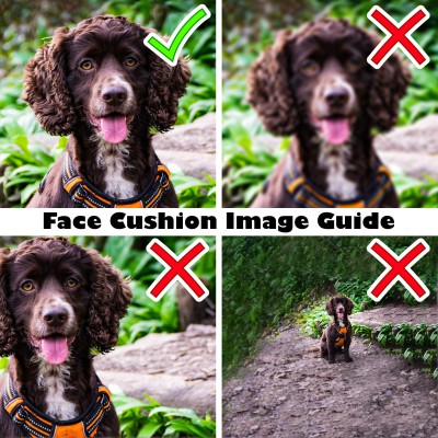 Dog Face Cushion Image Quality Guide