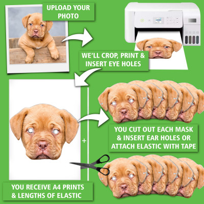 Pet Photo Face Masks (Card Printed Masks) from HappySnapGifts