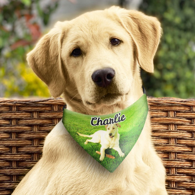 Personalised Dog Bandana with Optional Personalised Gift Text