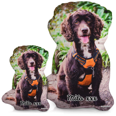 Personalised Dog Photo Cushion Available in 2 Sizes