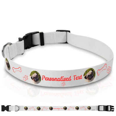 Personalised Dog Collar