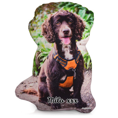 Personalised Dog Photo Cushion Hand Cut