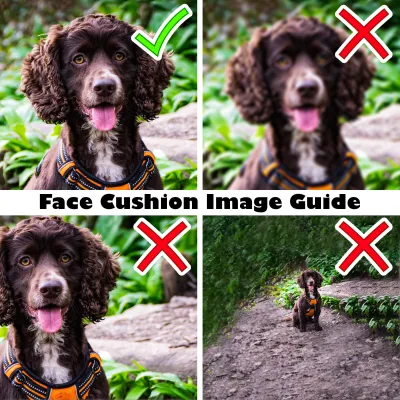 Dog Face Cushion Image Quality Guide from HappySnapGifts®