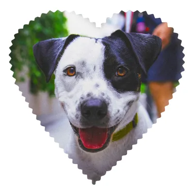 - Heart Shaped (20cm) Polyester (Personalised with Text)