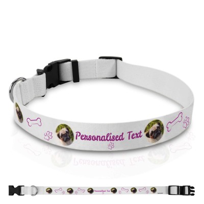 Create your store own dog collar