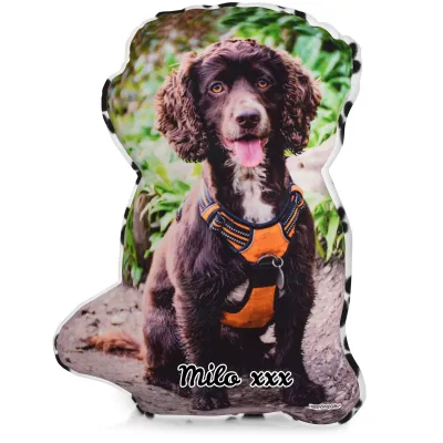 Smaller Size - Paws Fleece Fabric (Personalised with Text)