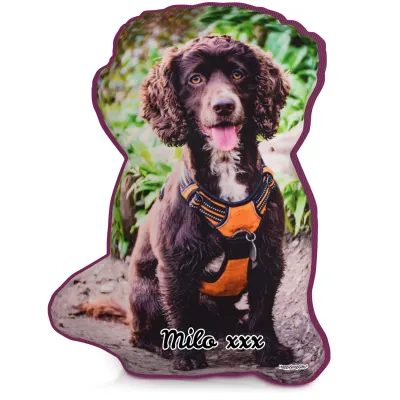 Larger Size - Purple Cotton Fabric (Personalised with Text)