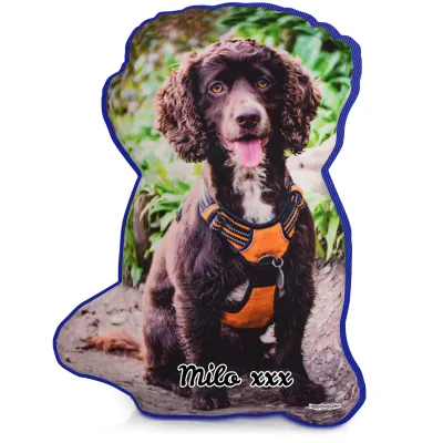 Smaller Size - Royal Blue Fleece Fabric (Personalised with Text)