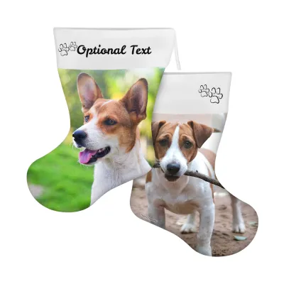 (25cm) Paws & Bones Theme (Personalised with Text)