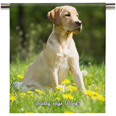 (58cm) Colour Frame Theme (Personalised with Text)