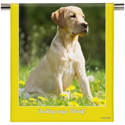 (58cm) Colour Frame Theme Yellow (Personalised with Text)