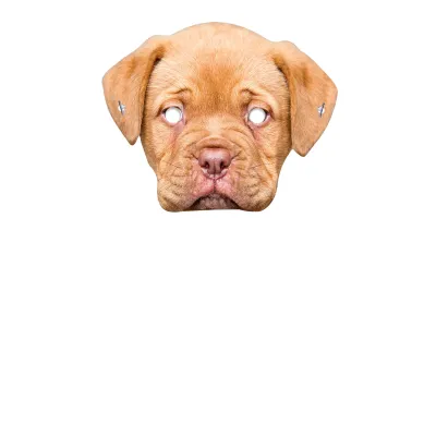 Single Mask x 1 (A4) Finished Mask + Elastic