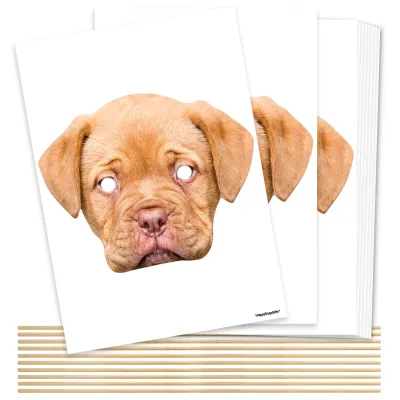 Pack of 10 (A4) DIY Masks + Sticks