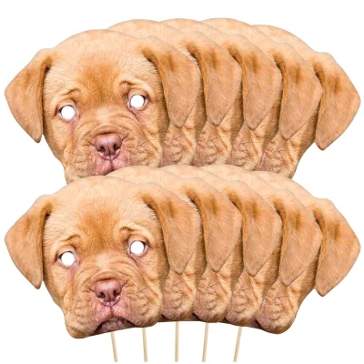 Pack of 10 (A4) Finished Masks + Sticks