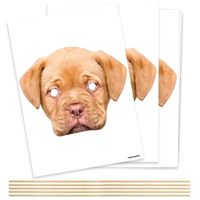 Pack of 5 (A4) DIY Masks + Sticks