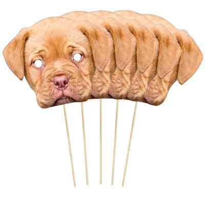 Pack of 5 (A4) Finished Masks + Sticks