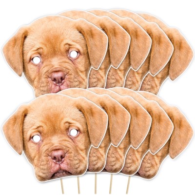 (Pack of 10) Finished Masks + Sticks (10 of Same Faces)