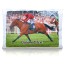 Personalised Photo Bed Pillow Case with Full Colour Photo Print (with Free Pillow)