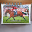 Personalised Photo Bed Pillow Case with 2 Sided Full Colour Photo Print and Free Pillow