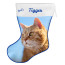 Personalised Cat Stocking