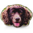 Dog Face Cushion