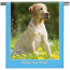 Personalised Dogs &amp; Pets Photo Tea Towel from HappySnapGifts®