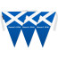 Scottish Bunting