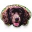 Dog Face Cushion Full Colour (Cut to Shape) from HappySnapGifts®