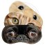Personalised Pet Face Photo Upload Eye Mask from HappySnapGifts®